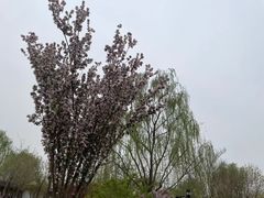 景点-水西公园