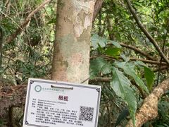 景点-海南热带雨林国家公园吊罗山景区