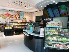 -蒲公英(五里店)