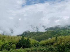 -江南天池
