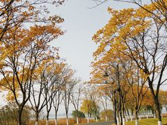 -东湖听涛景区