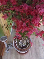 -一花一叶瑜伽生活馆