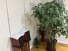 -中音阶梯艺术教育(音乐学院校区)