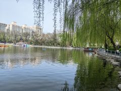 -莲湖公园