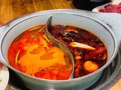 -青瓷火锅料理(西单大悦城店)