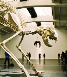 -崇尚GAVIN STYLE臻选