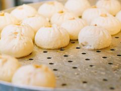 -韩包子(青石桥店)