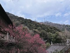 -韬光茶庵