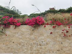 -小南山公园