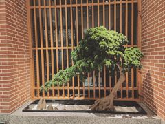 -囍榷·鲜美常州菜(恐龙园店)