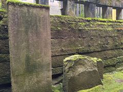 -缙云山景区
