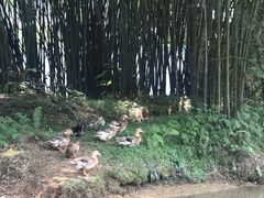-明仕田园