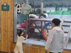 -西安秦岭野生动物园