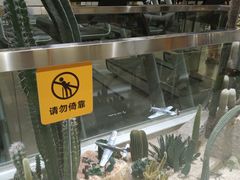 -超鹿运动(大唐世家店)