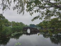 -无锡蠡湖国家湿地公园-蠡园