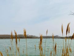 -野鸭湖国家湿地公园