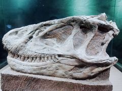 -自贡恐龙博物馆