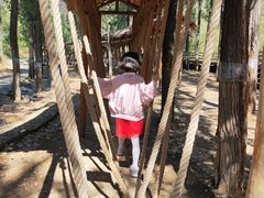 -蟠龙山长城景区