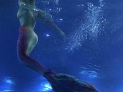 -海棠湾洲际-涛·海底餐厅·美人鱼·自助餐·海底隧道