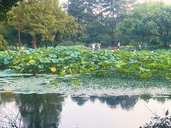 -印象西湖·最忆是杭州实景演出