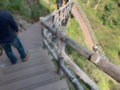 -宁波五龙潭景区