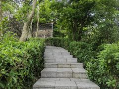 -小南山公园