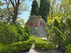 -燕窝岭