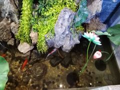-知足堂养生会所(碑亭巷店)