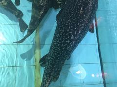 -渔民新村(番禺总店)