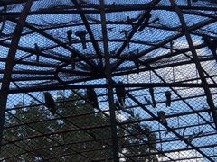 -哈尔滨北方森林动物园