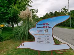 -同里国家湿地公园