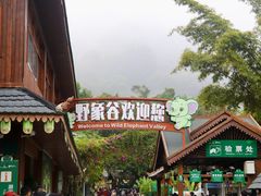 -野象谷景区