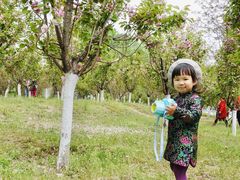 -长白岛森林公园
