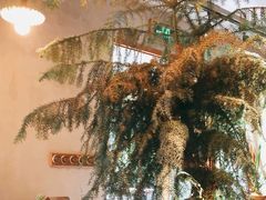 -时光花园(白鹭洲店)