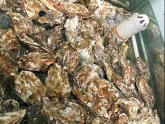 -兆辉木炭海鲜烧烤·海鲜小炒