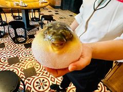 -永安鱼庄·镇江菜(丁卯店)