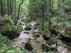 -牛背梁国家森林公园