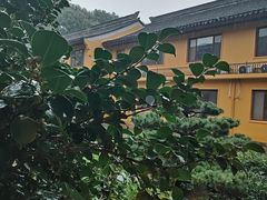 -重元寺香积厨素斋馆