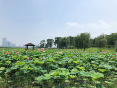 -苏州金鸡湖大酒店