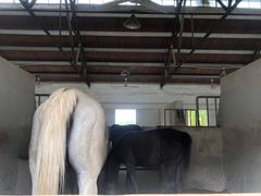 -松声马术俱乐部