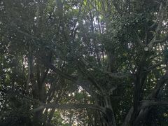 -湖泉半山温泉(湖泉生态园)