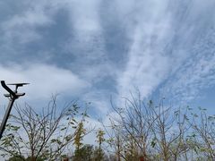 -青岩古镇