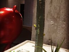 -万达影城(IMAX激光铁西万达广场店)