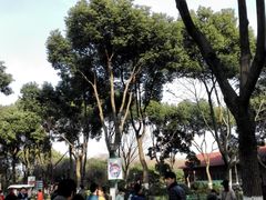 -昆山城市生态森林公园