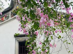 -深圳国际园林花卉博览园