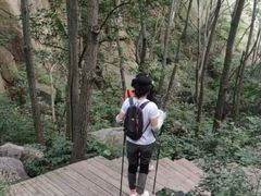 -大岭沟猕猴桃谷风景区
