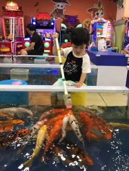 -万达宝贝王(南昌西湖店)