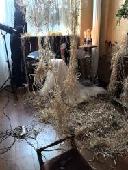 点击看大图 -WAVE SODA摄影工作室