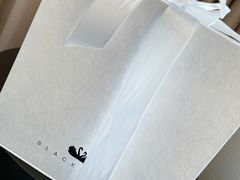 -BLACKSWAN黑天鹅(环球店)