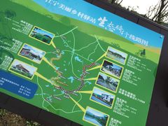 -大塘金香草谷